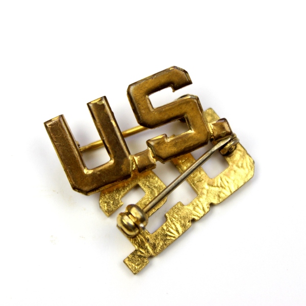 US Army collar insignia - Pin back acid test snowflake