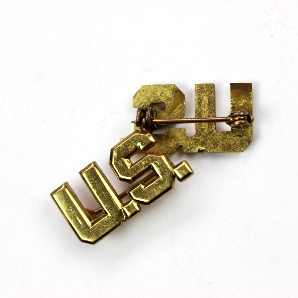 US Army officers collar insignia - Pin back acid test